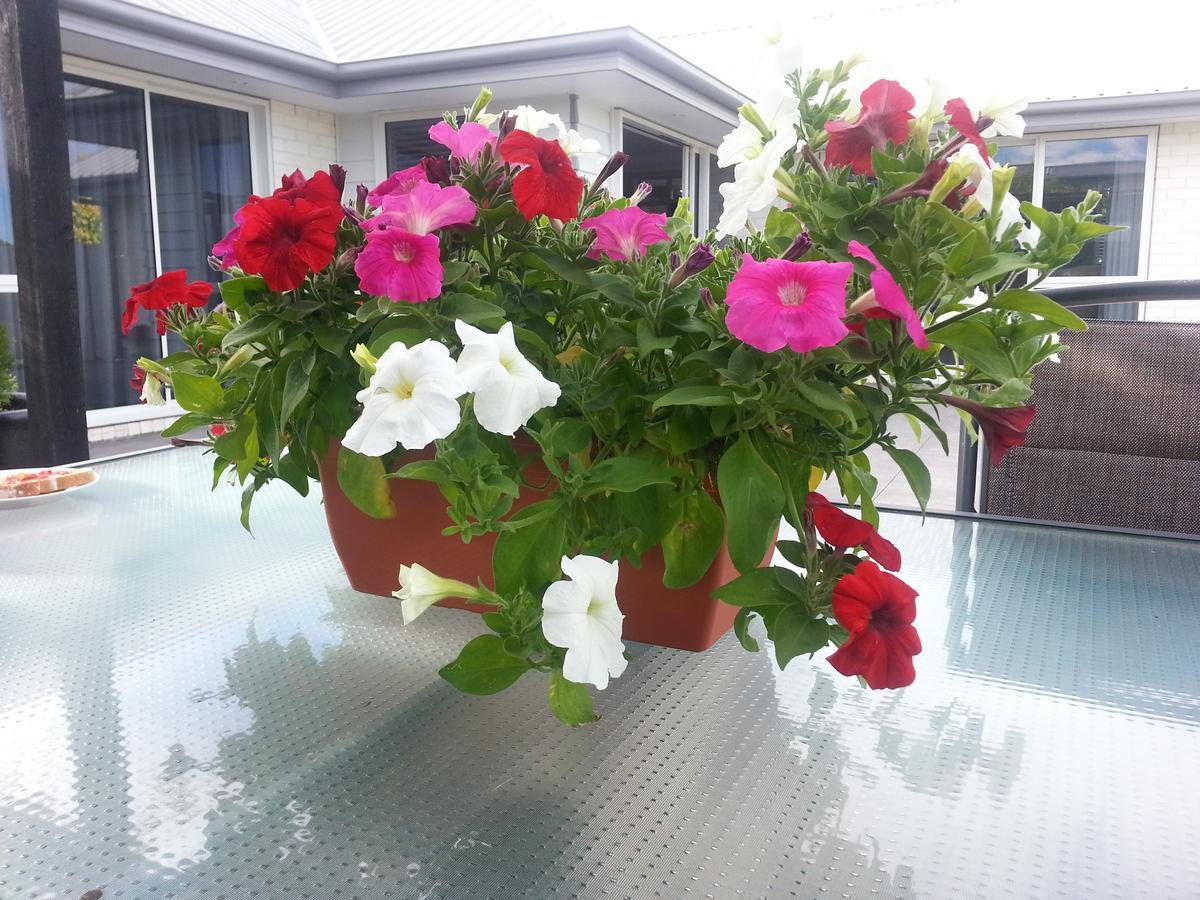 Courtenay B & B Kaiapoi Luaran gambar